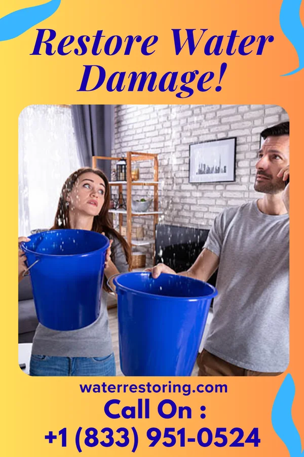 water restoration Prestige Sewage Cleanup Co Pine Glen