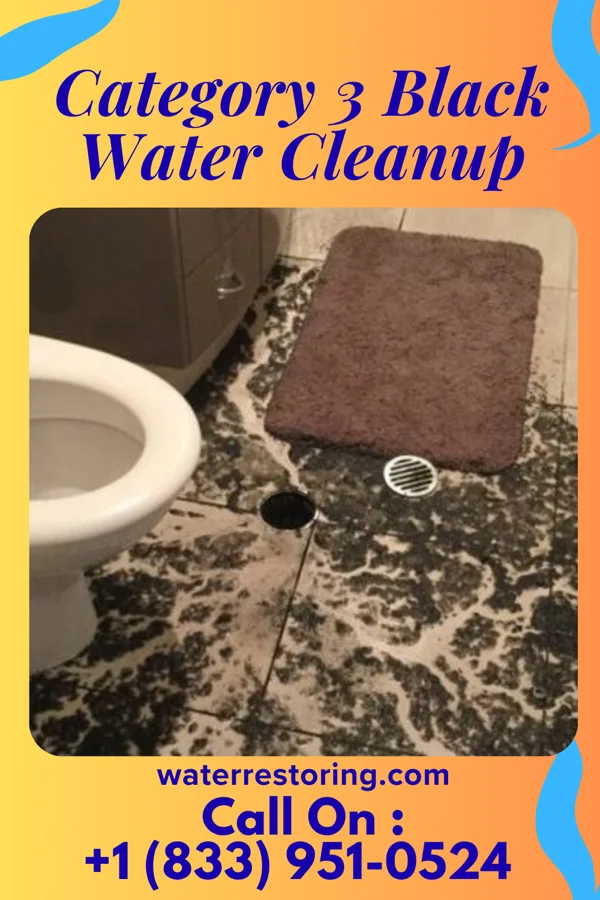Category 3 Black Water Cleanup in Pine Glen, PA