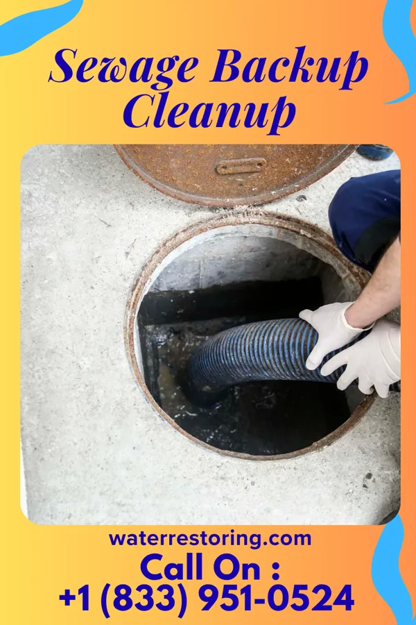 Sewage Backup Cleanup in Pine Glen, PA