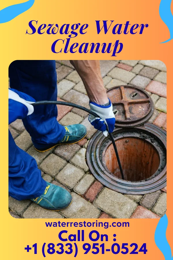 Sewage Water Cleanup in Pine Glen, PA