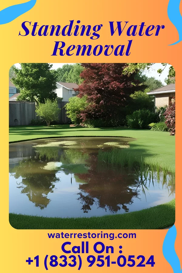 Standing Water Removal in Pine Glen, PA